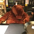 thumbnail image 4 of Peluche gigante de oso pardo DJUNGELSKOG de 40 cm a 100 cm, peluche suave, regalo de cumpleaños para niñas y niños, 4 of 4