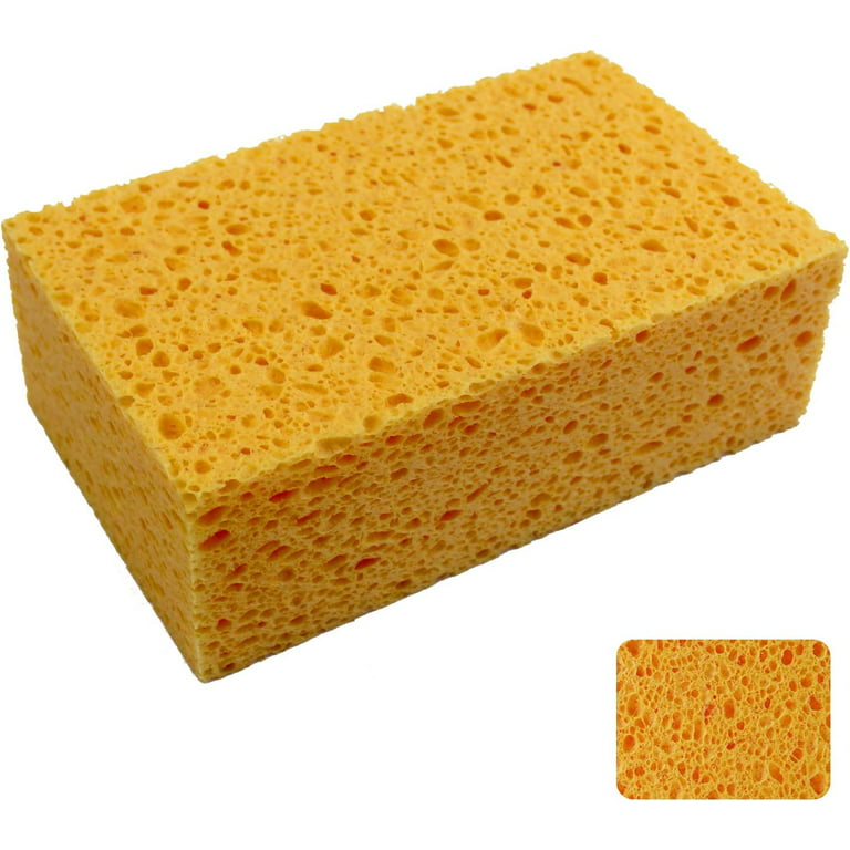 Natural Sponges, Commercial Sponges, Car Washing Sponge, Eco