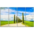 thumbnail image 2 of White Road through Cypress Trees - Oversized Landscape Wall Art Print, 2 of 3