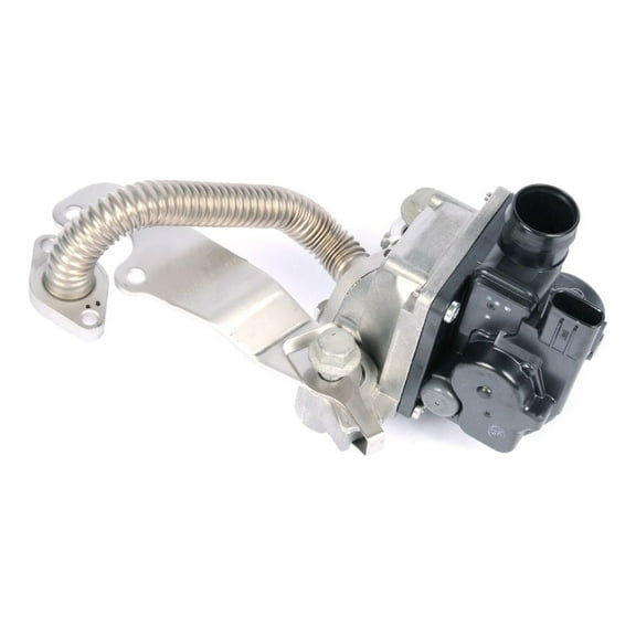 Secondary Air Injection Check Valve