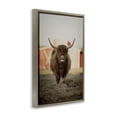 thumbnail image 3 of Stupell Industries Farmhouse Cattle on Farm Field Brown Floating Frame Canvas Art, 17 x 25, by Dakota Diener, 3 of 8