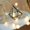 A, variant on Vikakiooze 2022 Thorn Ball Christmas Decoration Snow Pompom Winter Decoration LED Hair Ball Lantern Battery Light String Light