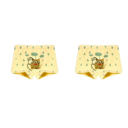 

wrea 2pcs Toddler Boys Water Drop Print Boxers Animal Underwear Cartoon Underpants Panties Knickers Set