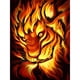 thumbnail image 1 of Cuadros Decorativos 5D DIY diamante pintura llama tigre completo redondo taladro mosaico imagen Kit pared arte DQrwqpou Nuevos Originales, 1 of 8
