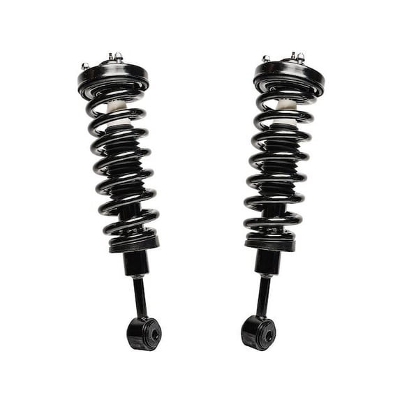 Front Strut Assembly Set - Compatible with 2004 - 2008 Ford F-150 2005 2006 2007