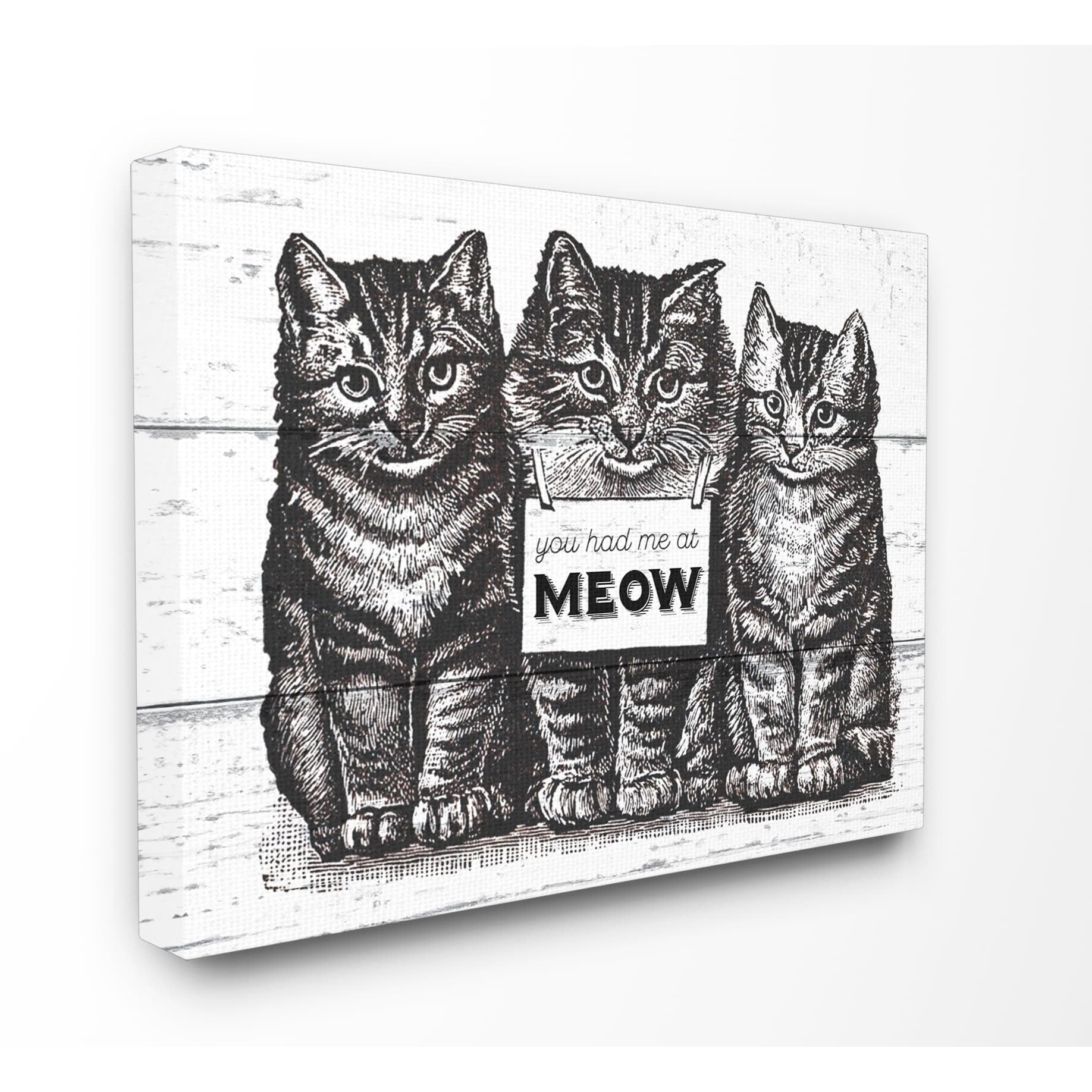 The Stupell Home Decor Collection You Had Me at Meow Cats Canvas Wall Art