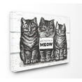 thumbnail image 2 of The Stupell Home Decor Collection You Had Me at Meow Cats Oversized Stretched Canvas Wall Art, 2 of 6