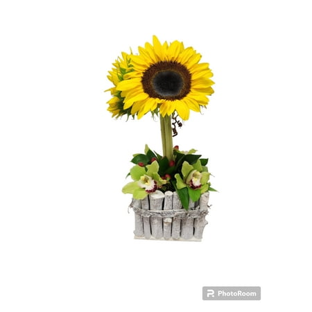 Modern Topiary Fresh Flower Arrangement with Vase designed for Mother's Day, Anniversary, Sunflowers and Orchids, Colors Cary