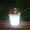 White, variant on Solar Flower Pot Planter with White LED Lights | Solar Powered Outdoor Decorative Light for Garden, Patio, Backyard | Includes 1pc