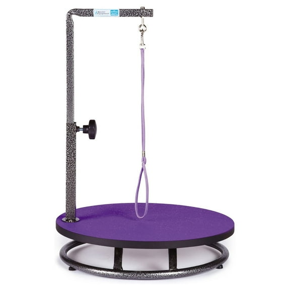 Master Equipment Small Pet Grooming Table Purple