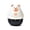 White, variant on Godderr Kitchen Mechanical Timer, Food Cooking and Baking Timer, Student Cartoon Bear Timer, Brown