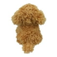 thumbnail image 4 of WILBERRY MINIS: COCKAPOO, 4 of 4