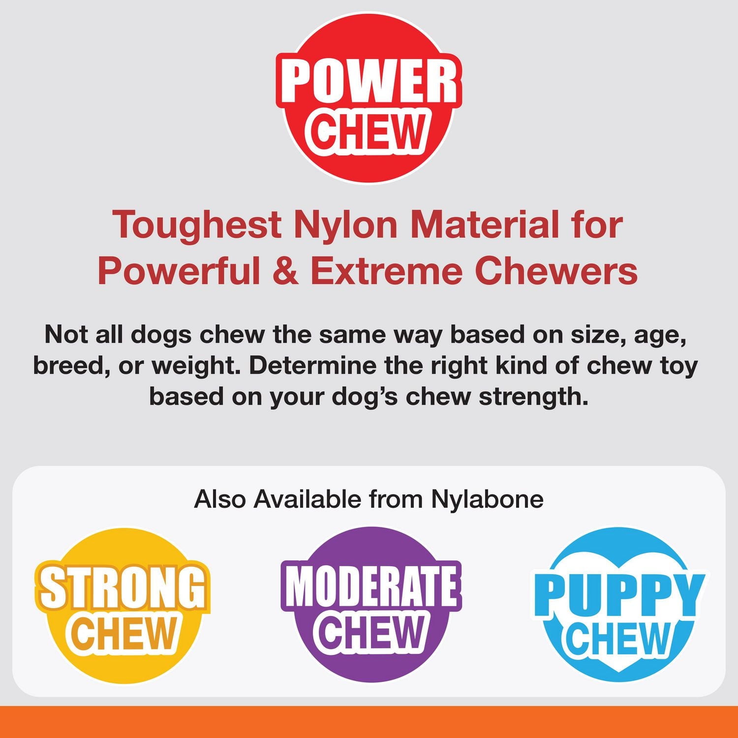 Jouet à mâchouiller Power Chew Nylabone, substitut d’os à saveur de bison, gros