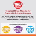 thumbnail image 3 of Jouet Power Chew T-Rex Nylabone, grand, saveur de poulet, 3 of 7