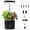 Black, variant on 4 Pod 10W Full Spectrum LED Hydroponics Growing System, Auto Timer Smart Indoor Herb Garden 1L Water Tank for Home Kitchen Year-round Planting