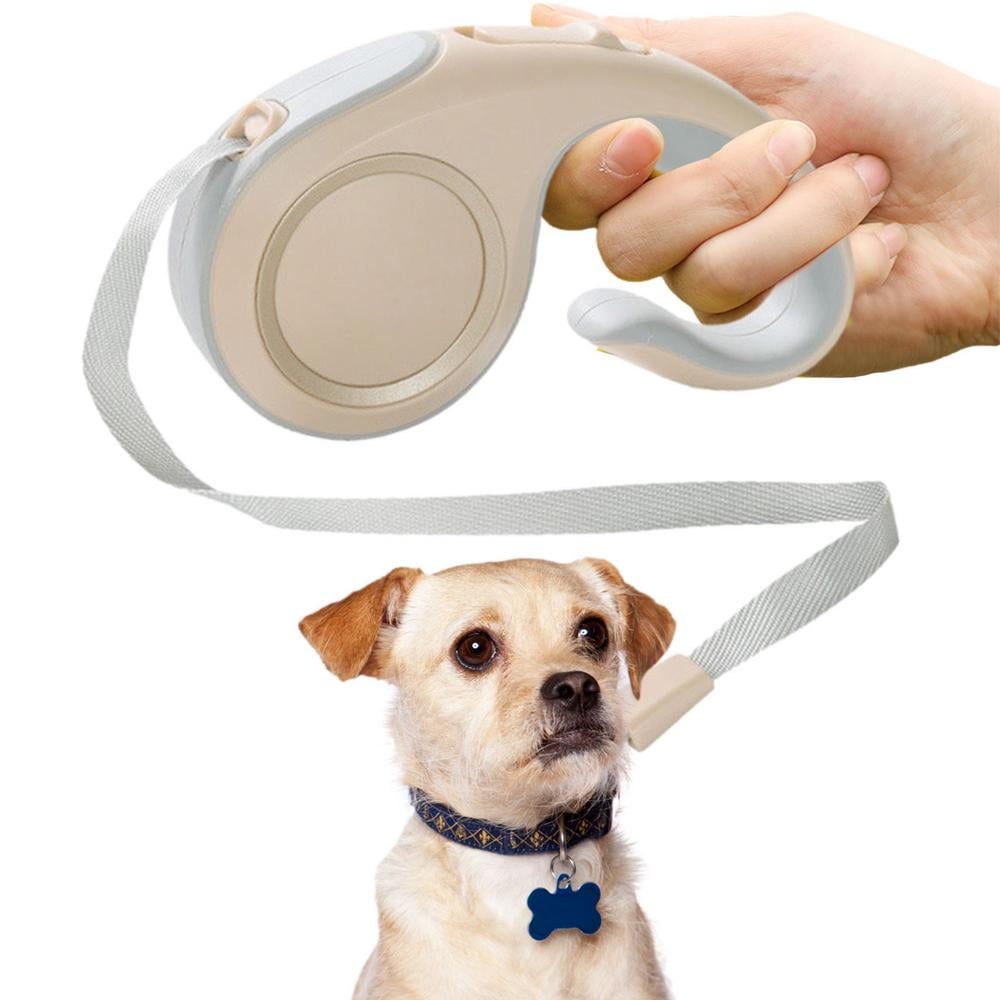 Are Retractable Dog Leashes Safe