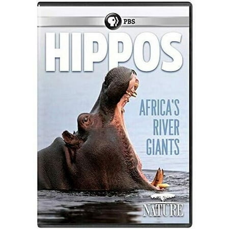 NATURE: Hippos: Africa s River Giants (DVD) PBS (Direct) Documentary