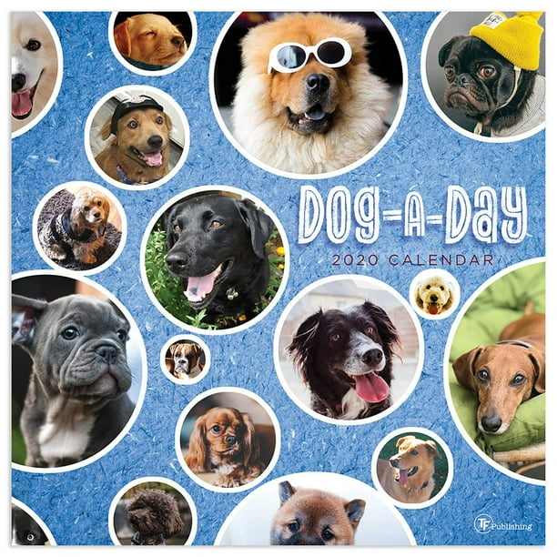 2020 Dog-A-Day Wall Calendar - Walmart.com - Walmart.com 2020 Dog-A-Day Wall Calendar - Walmart.com - Walmart.com