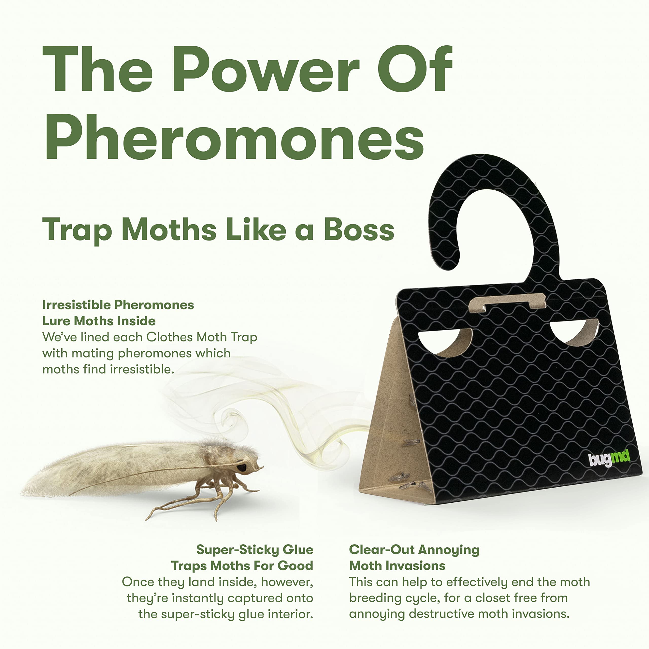 Clothes Moth Traps with Pheromones and Free Cedar Blocks Moth Repellent -  Moth 