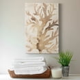 thumbnail image 6 of Parchment Coral III Premium Gallery Wrapped Canvas - Ready to Hang, 6 of 7