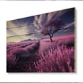 thumbnail image 2 of Designart "France Lavender landscapes Euphony" Floral Print on Natural Pine Wood, 2 of 5