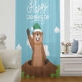 thumbnail image 6 of Happy Groundhog Day Sheer Curtains 108" Extra Long, Cartoon Ground Hog Hole Blue Sky Country Light Filering Curtains, Privacy Drapes Simi Floor to Veiling Curtain for Living Room Window Treatment, 6 of 9