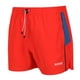 thumbnail image 2 of Regatta - Pantalones Cortos Rehere para Hombre (Rojo Fuego, Azul Dinastía), 2 of 4