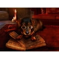 thumbnail image 2 of Babette 18x15 Black Ornate Wood Framed with Double Matting Museum Art Print Titled - The book of Dogtalk, 2 of 4