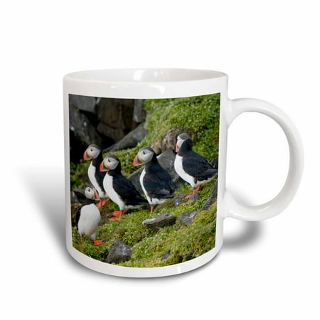 Atlantic Puffins Perch - 3dRose Norway, Svalbard, Spitsbergen. Atlantic puffins perched on a cliff., Ceramic Mug, 15-ounce