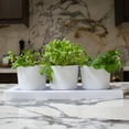 thumbnail image 4 of Trio Flight Casper White Planter Set W/ 3 Planters & Rectangle Saucer Tray, 4 of 9