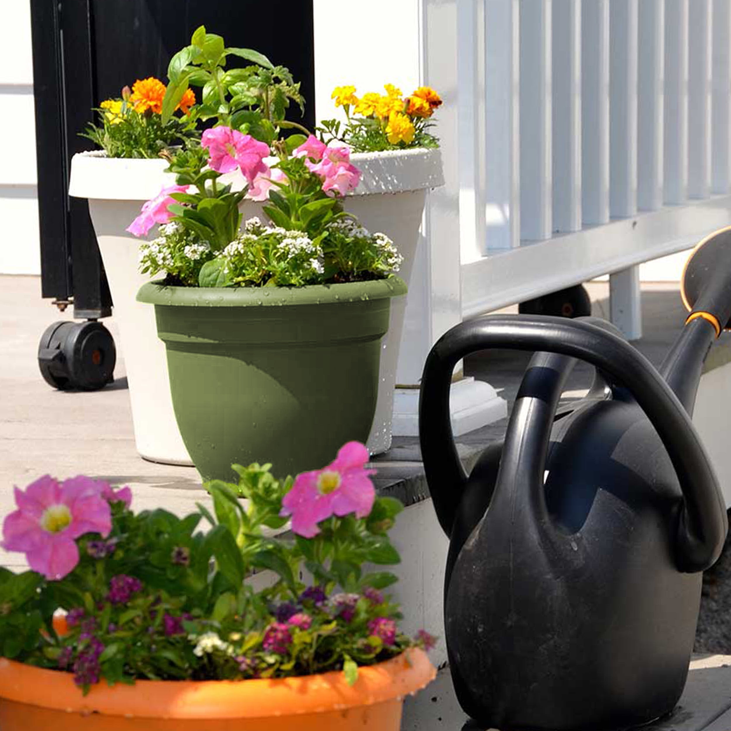 Bloem 10-in Ariana Self Watering Plastic Planter - Living Green