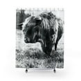 thumbnail image 2 of Highland Bull Shower Curtains, 2 of 2