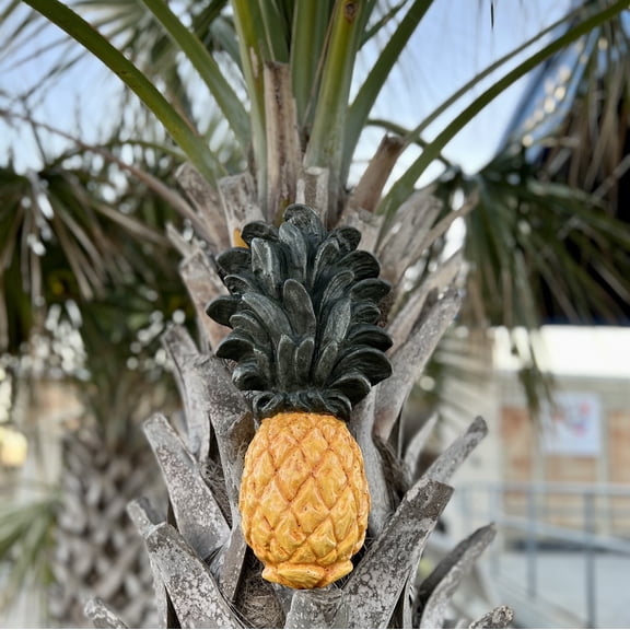 Hanging Pineapple