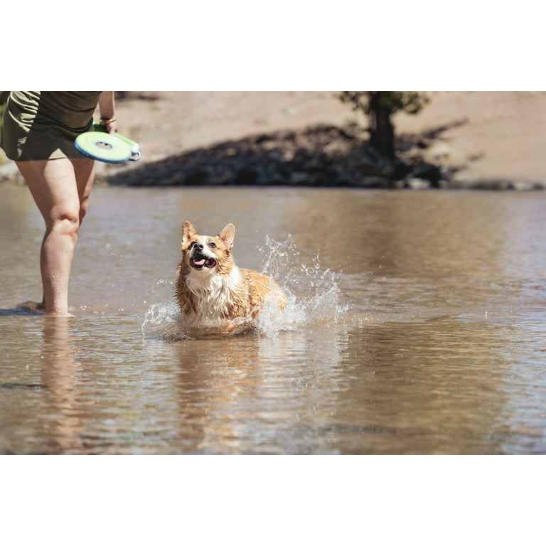 Amphibious Flying Disc Fetch Dog Toy, Small 6 Inches photo 6