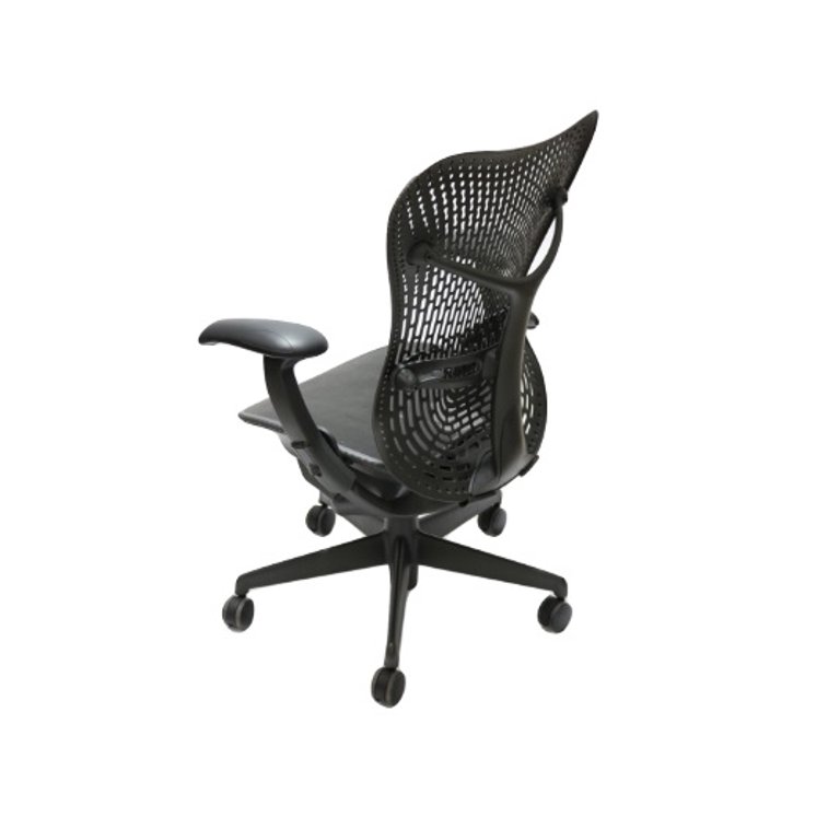 Herman Miller Mirra Lumbar Support