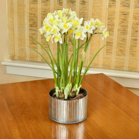 - Picnic at Ascot Artificial Daffodils in Rustic Metal Planter