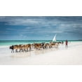 thumbnail image 2 of C. Sink, Jeffrey 32x21 Gold Ornate Wood Framed with Double Matting Museum Art Print Titled - Masai cattle on Zanzibar beach, 2 of 4