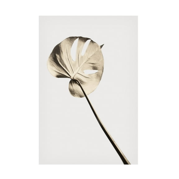 Canvas Wall Art - Pictufy Studio Iii 'Monstera Gold 03' Wall Art for Living Room, Bedroom, or Office D?cor by Trademark Fine Art - 12 x 19 Inches