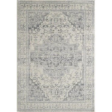 Totti Venus 3' x 5' Rectangular Polypropylene Oriental Rug in Gray/Dark Gray