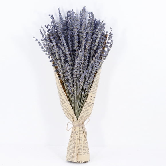 1st Torkad Lavendel Naturlig Lavendel Blombuketter Stjälkar 43cm fo