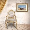 thumbnail image 3 of Hopkins, Cindy Miller 32x23 Gold Ornate Wood Framed with Double Matting Museum Art Print Titled - USA-Wyoming-Yellowstone National Park-Upper Geyser Basin-Lone male American bison-aka buffalo right, 3 of 4