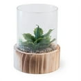 thumbnail image 1 of Boston International YH18400 Cactus Terrarium Succulentes, 1 of 1