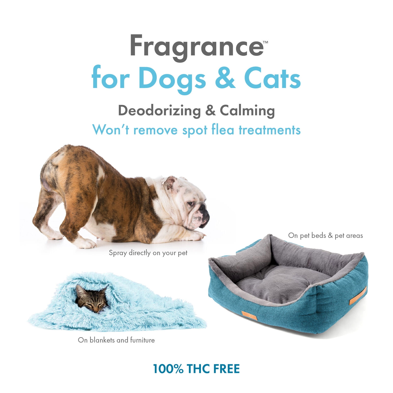 Petkin Vanilla Fragrance Infused with Hemp Oil for Dogs and Cats. 8 Fluid oz.