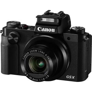 Canon 0510C001 20.2 Megapixel PowerShot G5X Digital Camera