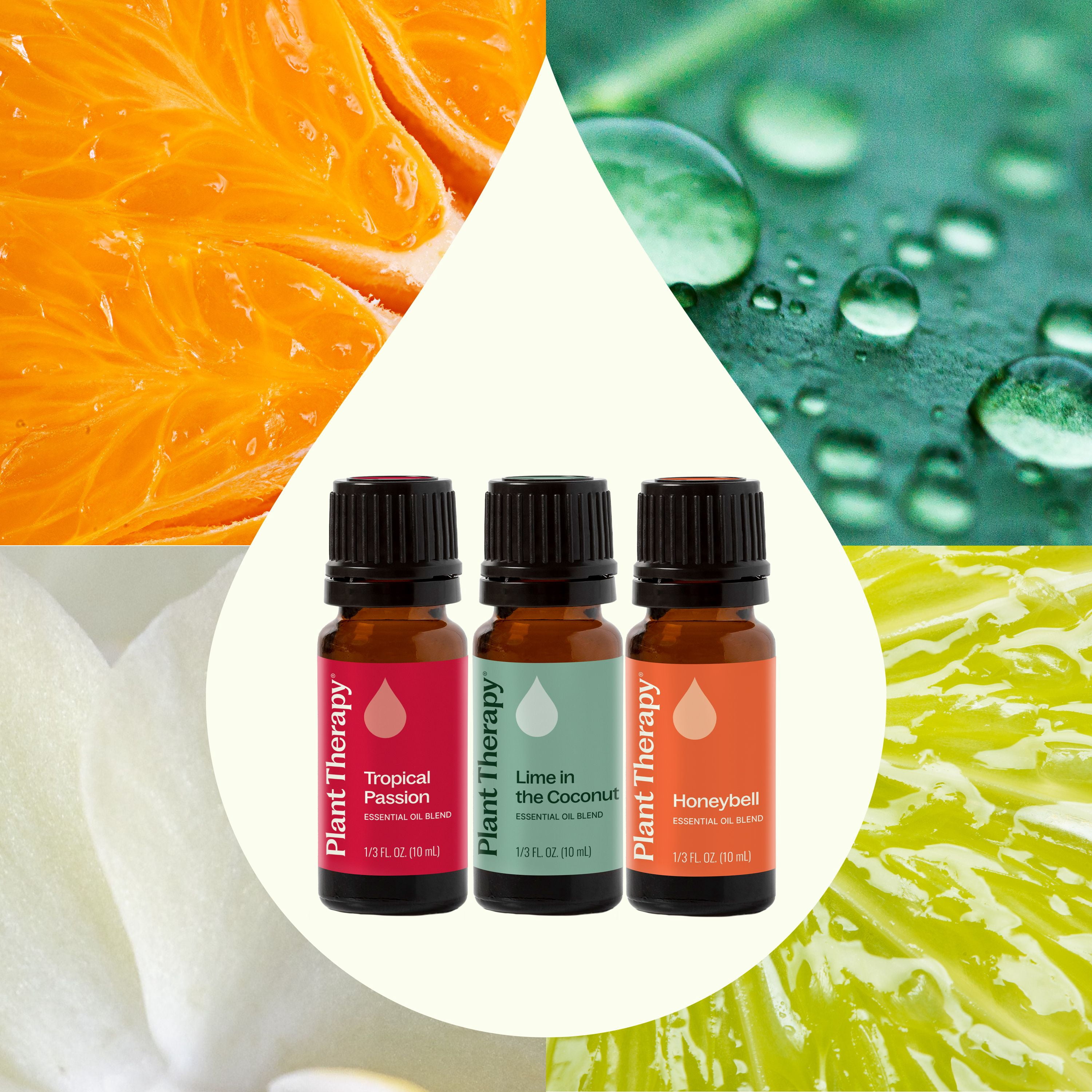 Plant Therapy Tropical Scents Home Set of 3 Essential Oil Blends Including Natural Scents to Scent Your Home with Honeybell, Lime in the Coconut & Tropical Passion 10 mL (1/3 oz) each