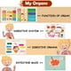 thumbnail image 5 of Freebear Montessori Busy Book for Kids, Human Body Anatomy Book for Toddlers, Preshool Kindergarten Learning Activities, Autism Sensory Toys, Travel Toys, Gifts for Girls and Boys 4 5 6 7 8 Years, 5 of 5