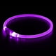 thumbnail image 1 of Collar LED para perros BSEEN, recargable por USB, para perros pequeños, medianos y grandes, 1 of 7
