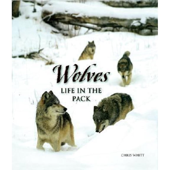 Pre-Owned Wolves: Life in the Pack (Hardcover) 1402718713 9781402718717