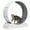 Grey, variant on 33" Large Cat Exercise Wheel - Indoor Carpeted Cat Treadmill for Fitness, Durable Plastic Frame, Grey/Blue/Green