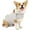 Light Gray, variant on Vest for Dogs - Dog Anxiety Jacket, Skin-Friendly Dog Calming Vest - Dog Shirt for Thunder, Fireworks and Separation - Keep Pet Calm Without Medicine & Training